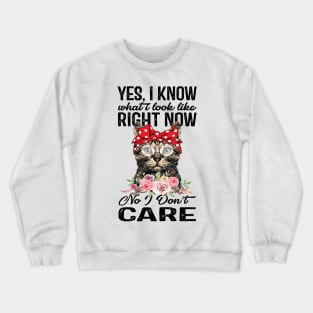 Cat Dont Care Crewneck Sweatshirt